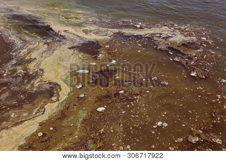 Dirty Wave With Old Dirty Algae. Dirty Seaweed Sea Surf Lines In Seaport. Dirty Sea, Environmental P