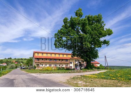 Beautiful Summer Landscape With Blooming Yellow Dandelions Around Zitkova Village, White Carpathians