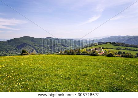 Beautiful Summer Landscape With Blooming Yellow Dandelions Around Zitkova Village, White Carpathians