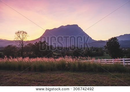 Summer Mountain Hills Landscape Sunset In North Of Thailand