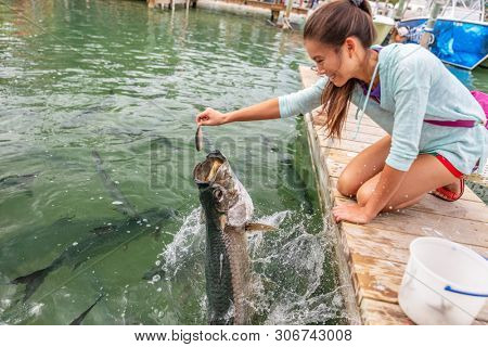 Tarpon feeding in the Keys in Florida. Asian tourist girl having fun on vacation travel feeding big tarpons fish jumping out of water - leisure vacation activity in the Florida Keys.