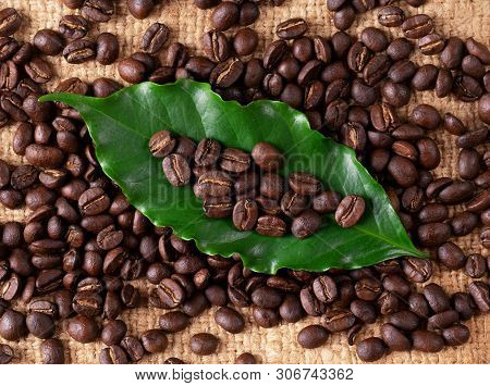 Roasted Coffee Bean On Linin Sack