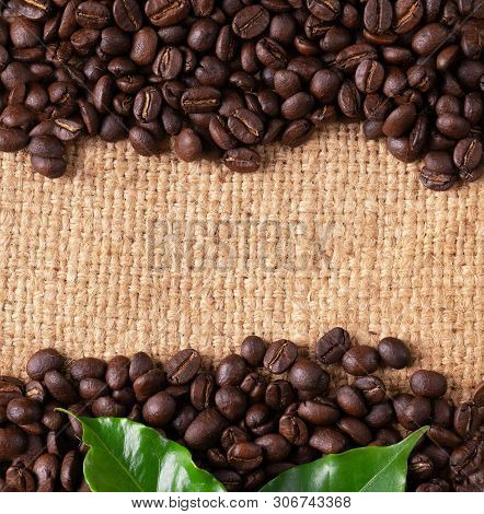 Roasted Coffee Bean On Linin Sack
