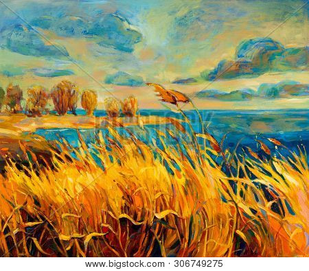 Original Oil Painting Showing Beautiful Lake,sunset Landscape.fern(rush),sky And Clouds. Modern Impr