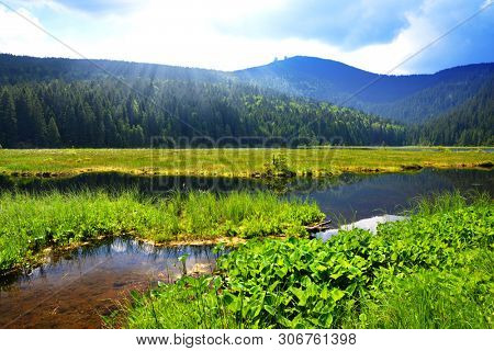 Kleiner Arbersee lake in the National park Bavarian forest,Germany. Beautiful spring landscape.