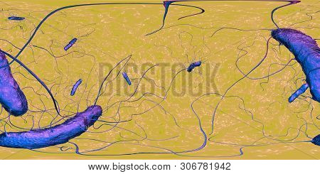 Clostridium Difficile Bacteria, 360 Degree Vr Spherical Panorama View, 3d Illustration. Bacteria Whi