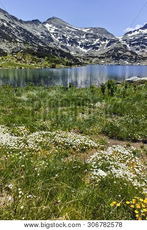 Amazing Panorama Of Dzhano Peak And Popovo Lake, Pirin Mountain, Bulgaria