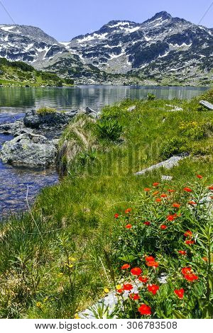 Landscape With Demirkapiyski Chukar Peak And Popovo Lake, Pirin Mountain, Bulgaria