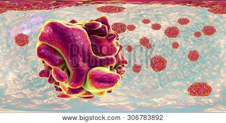 Polioviruses, 360 Degree Vr Spherical Panorama View. An Rna Virus From Picornaviridae Family That Ca