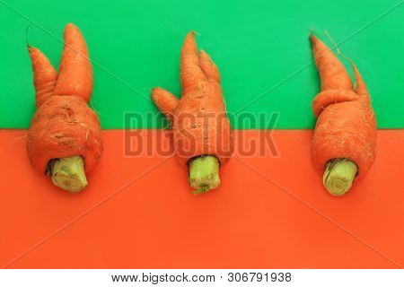 Ugly Food. Deformed Organic Carrots On Pastel Background In Green And Orange Duoton. Bright Contrast