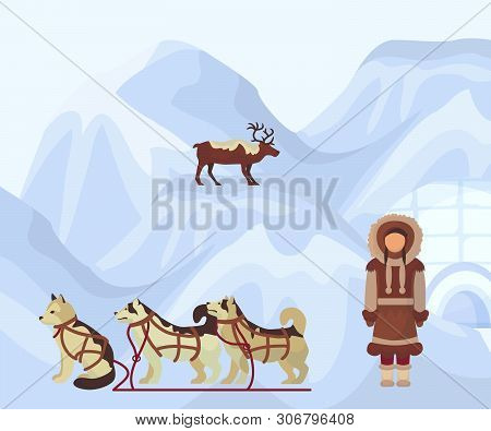 North People In Traditional Eskimos Costume, Arctic Dogs And Polar Deer. Life In The Far North. Pola