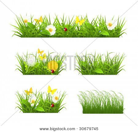Gras Set, Vektor