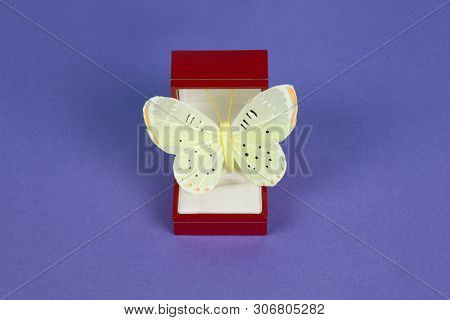 Jewel Butterfly Purple