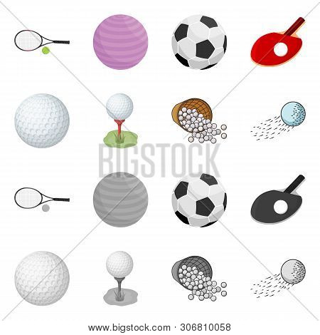 Vector Design Of Ball And Soccer Logo. Collection Of Ball And Basketball Stock Vector Illustration.
