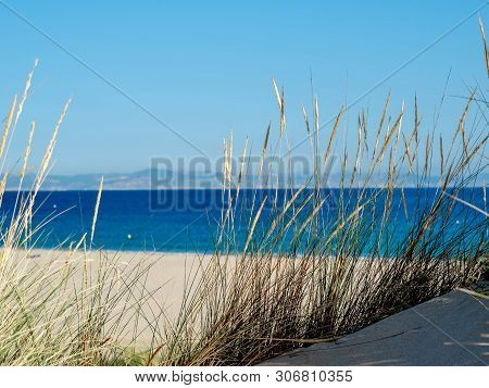 Dune With Beachgrass In Tarifa, Costa De La Luz, Spain, Europe