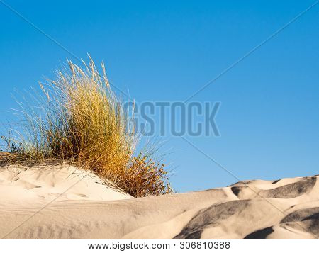 Dune With Beachgrass In Tarifa, Costa De La Luz, Spain, Europe