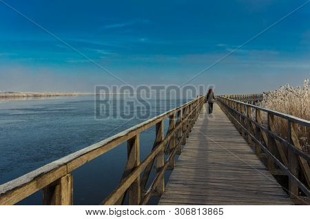 Nature Reserve Federsee, Bad Buchau, Baden-wurttemberg, Germany