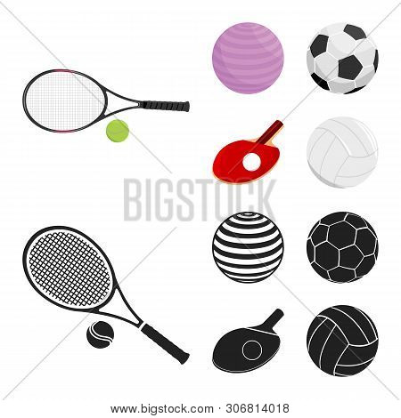 Vector Illustration Of Ball And Soccer Logo. Collection Of Ball And Basketball Vector Icon For Stock