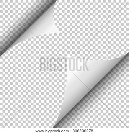 Realistic Curled Corner And Shadow On Transparent Background