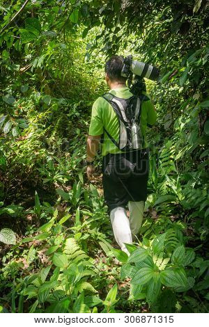 Guide And Assistant Carrying Camera On Tripod Through Dense Rain-forest In Borneo