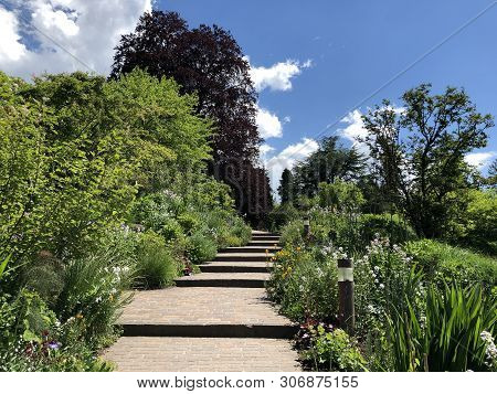 Botanical Garden Zurich Or Botanischer Garten Zuerich, Switzerland