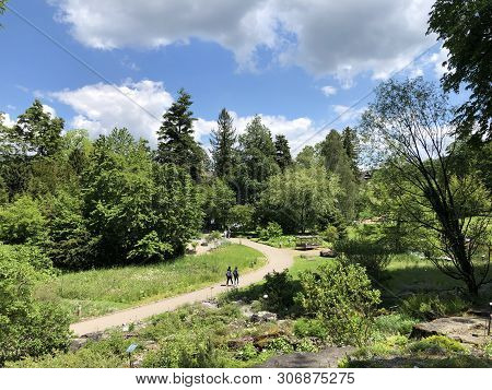 Botanical Garden Zurich Or Botanischer Garten Zuerich, Switzerland