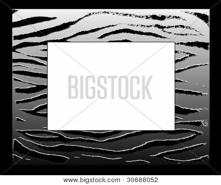 ZEBRA NYOMTATÁSA KERET