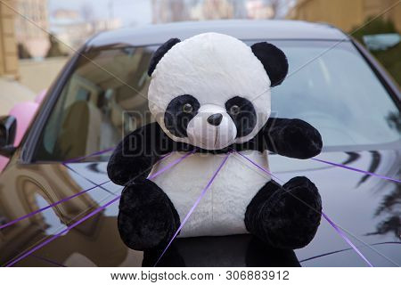 A Panda Doll Placed In Front Of A Car For Circumcision . Panda Toys. Panda Puppet Sitting On Top Of 