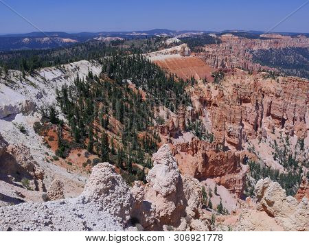 Layered Rock Formations With Pine And Spruce Trees Growing On The Clifflines At Bryce Canyon Nationa