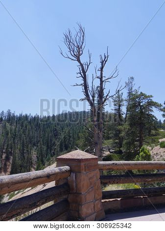 Lookout Deck At Farview Point, Bryce Canyon National Park With An Elevation Of 8,819.