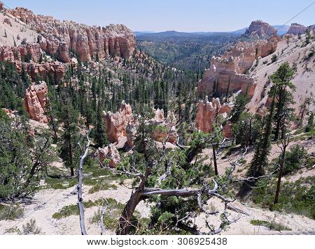 Scene From The Lookout Of Farview Point At Bryce Canyon National Park, Utah.