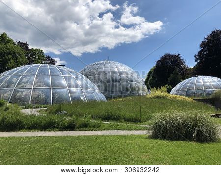 Tropenhaus - Botanical Garden Zurich Or Botanischer Garten Zuerich, Switzerland