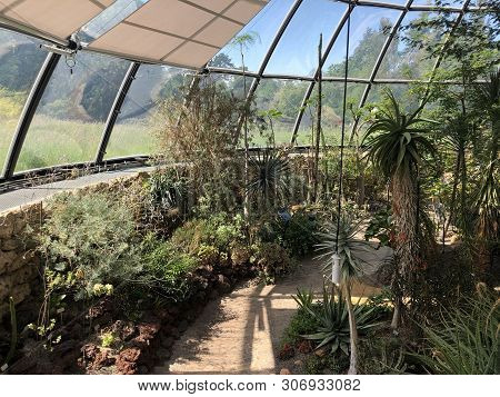 Tropenhaus, Trockengebiete - Botanical Garden Zurich Or Botanischer Garten Zuerich, Switzerland