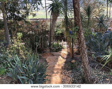 Tropenhaus, Trockengebiete - Botanical Garden Zurich Or Botanischer Garten Zuerich, Switzerland