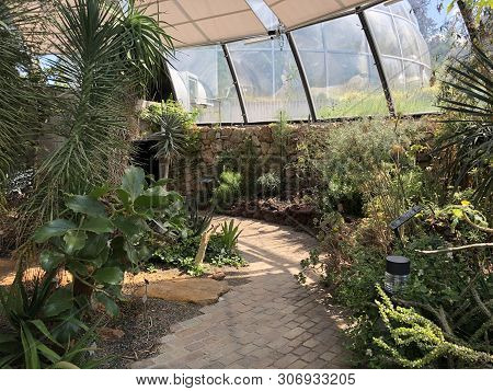 Tropenhaus, Trockengebiete - Botanical Garden Zurich Or Botanischer Garten Zuerich, Switzerland