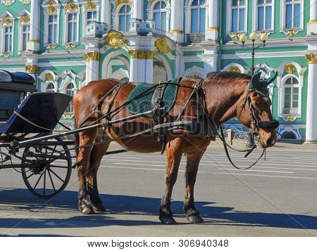 The Usual Routine In The Centre Of Saint-petersburg Look Exactly, Carriages, Tsars And Empresses.