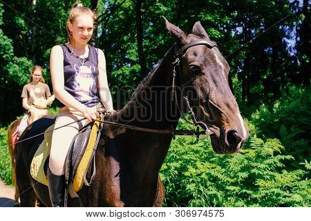 Akhal-teke Horse. Muzzle Thoroughbred Akhal-teke Horse, Photo Outdoors. Ridden By A Young Rider. Sai