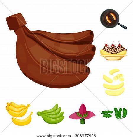 Isolated Object Of Tropical And Ripe Logo. Collection Of Tropical And Potassium Vector Icon For Stoc