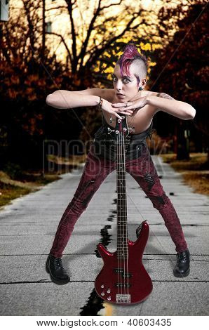 Punk Rocker