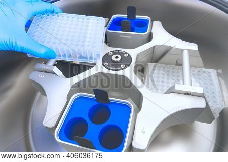 Scientist Puts The Test Tubes In Centrifuge. Automation In The Clinical Laboratory. Pipetting Robot 
