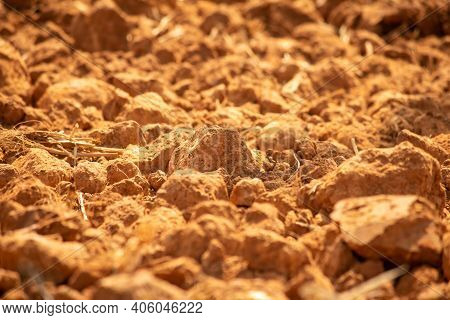 Ploughed Land Ready For Cultivation, Kolar, Karnataka, India. Agricultural Field Ready For Sowing.