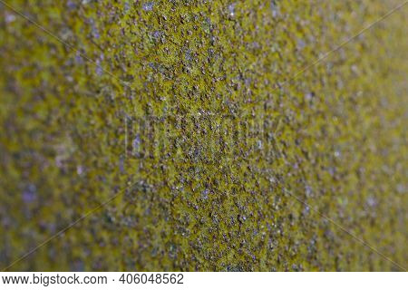 Coarse Olive Tinted Background Or Wallpaper. Rough Textured Surface. Unusual Backdrop Of Rusty Iron.