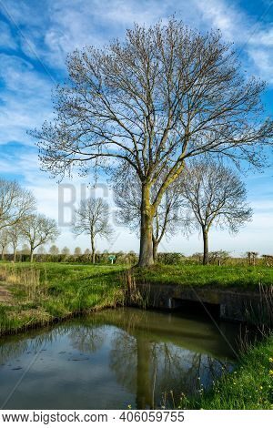 Spring Nature Landscape In Betuwe, Gelderland, Netherlands