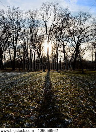 Light And Shadow In Jena Paradise At Winter