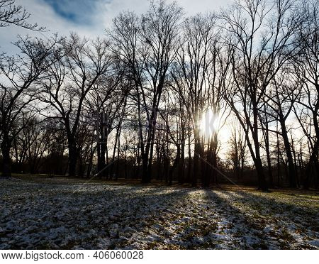 Light And Shadow In Jena Paradise At Winter