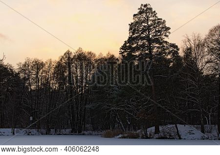 Sunset Winter Landscape Of Frozen Pond In The Forest. Evergreen Wood And Shore In Snow. Winter Seaso