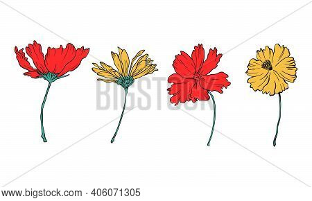 Bright Floral Elements. Vector Flowers For Card Or Logo Designs.