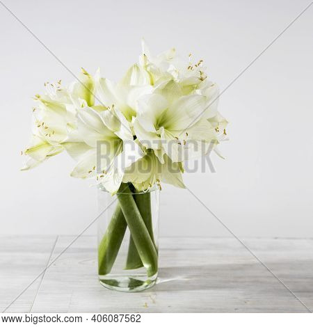 Bouquet Of White Lilies In A Tall Glass Vase On A Beige Table Against A Gray Wall. Copy Space. Fresh