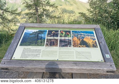 Grossglockner, Austria - Aug 8, 2020: Info Board About Larch Tree On High Alpine Road