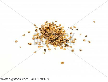 Pile Of Eggplant Or Aubergine Seeds In Plastic Container Isolated On White Background